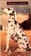 Click to zoom the image Click to zoom the image